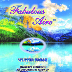Winter Fresh Fabulous Aire Concentrate 250ml
